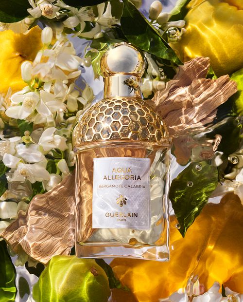 Aqua Allegoria Bergamote Calabria - Eau de Toilette