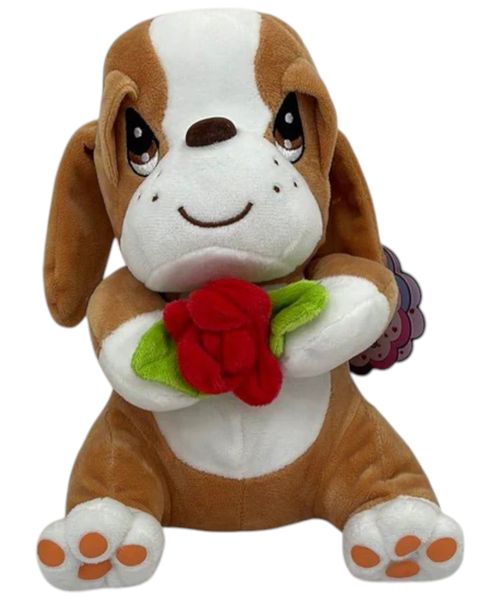 Foster Peluche Samuel & Miel con rosa surtido (1 pieza)