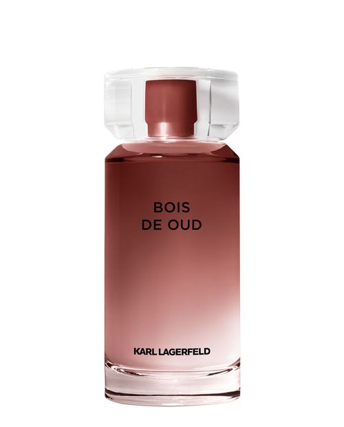 Bois de Oud Eau de Toilette 100ml